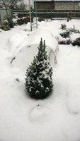 WP_20161115_029.jpg