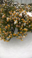 WP_20161115_043.jpg