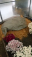 WP_20161115_059.jpg