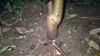 WP_20161116_003.jpg