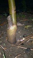 WP_20161116_004.jpg