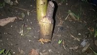 WP_20161116_007.jpg