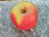 jabl 007.jpg