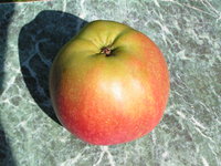 jabl 020.jpg