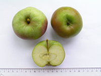 20-34_04.jpg