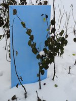 DSC05716-01.jpg