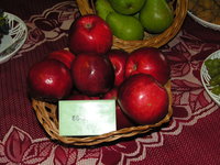 onf 018.jpg