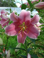 DSC07088.JPG