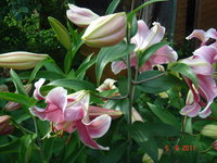 DSC07091.JPG