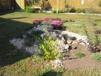 IMG_2091.JPG