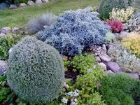 IMG_20160907_074156.jpg