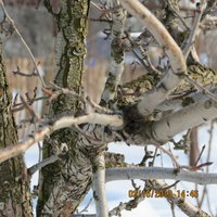 IMG_0216.jpg
