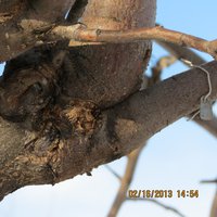 IMG_0233.jpg
