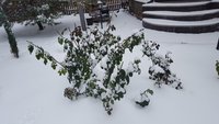 20161113_121623.jpg