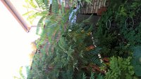 WP_20150923_17_03_10_Pro.jpg