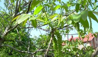 DSCN1124.JPG