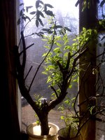 IMG03717.jpg