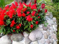 IMG_20160812_163107.jpg