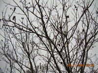 DSCN1384.JPG