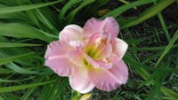 20160710_103344.jpg