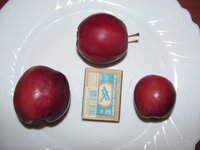 IMG_0034.JPG