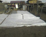 SP_A0290.jpg