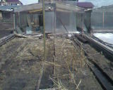 SP_A0292.jpg