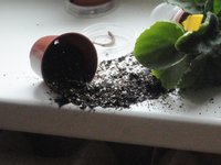 DSC01848.jpg