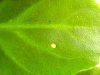 IMG_1786.JPG