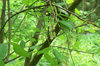 P1020130.JPG