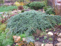 DSCF3916.JPG