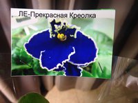 IMG_4338.JPG