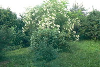P1220242.JPG