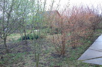 P1200103.JPG