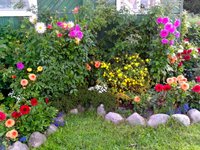 IMG_20160816_085502.jpg
