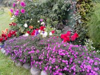 IMG_20160918_141539.jpg