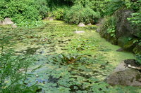 P1010200.JPG