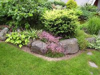 1 (80).jpg