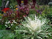 IMG_20160922_113048_1.jpg
