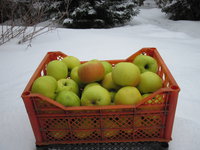 IMG_5323.JPG