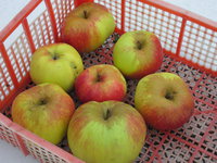 IMG_5353.JPG