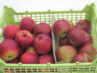 IMG_5348.JPG