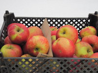 IMG_5346.JPG