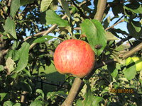 IMG_0130.JPG