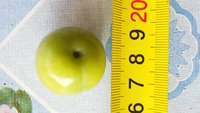 20160811_105323.jpg
