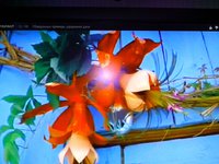 IMG_20140609_141653.jpg