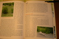 P1280927.JPG