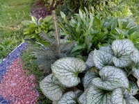 IMG_20160914_104731.jpg