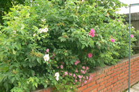 P1220162.JPG