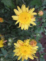 IMG_5971.JPG